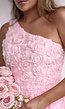 Babyroze Flower Jurk met Roosjes