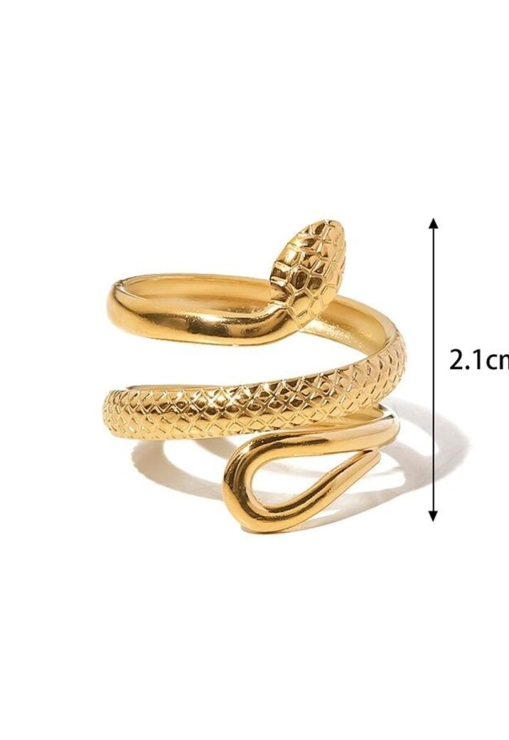 Stainless Steel Ring met Slangen Model