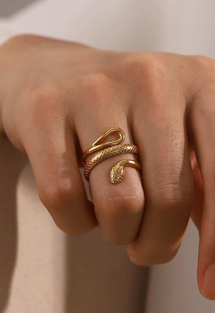 Stainless Steel Ring met Slangen Model