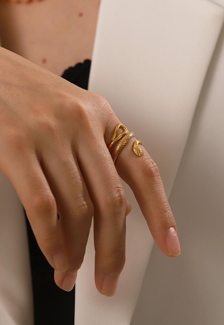 Stainless Steel Ring met Slangen Model