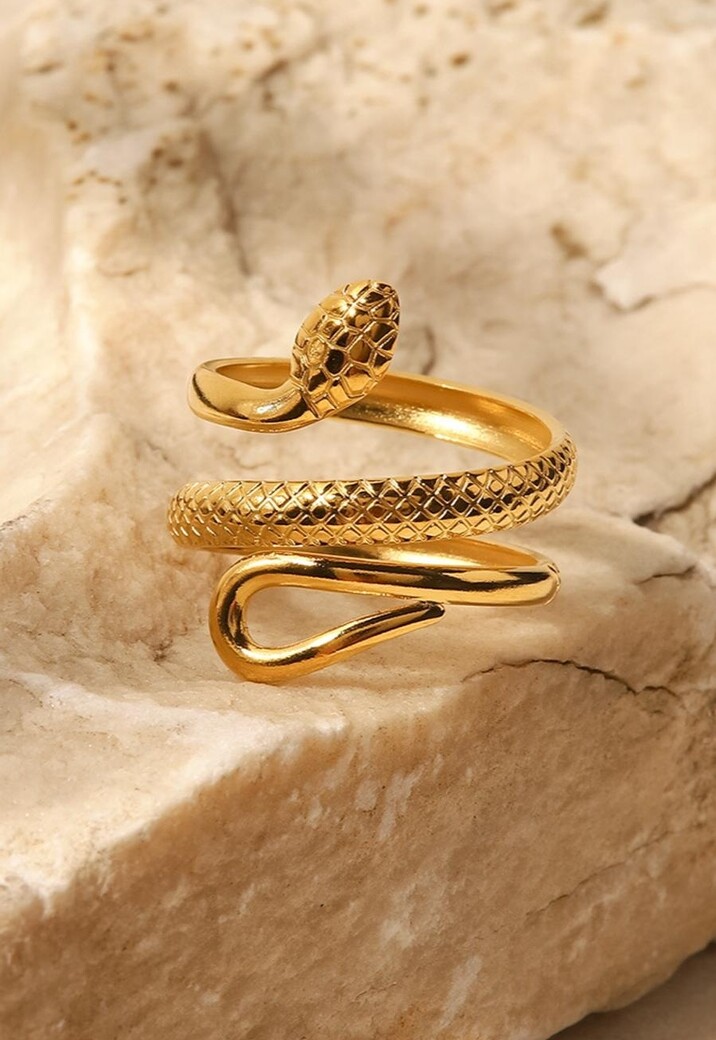 Stainless Steel Ring met Slangen Model