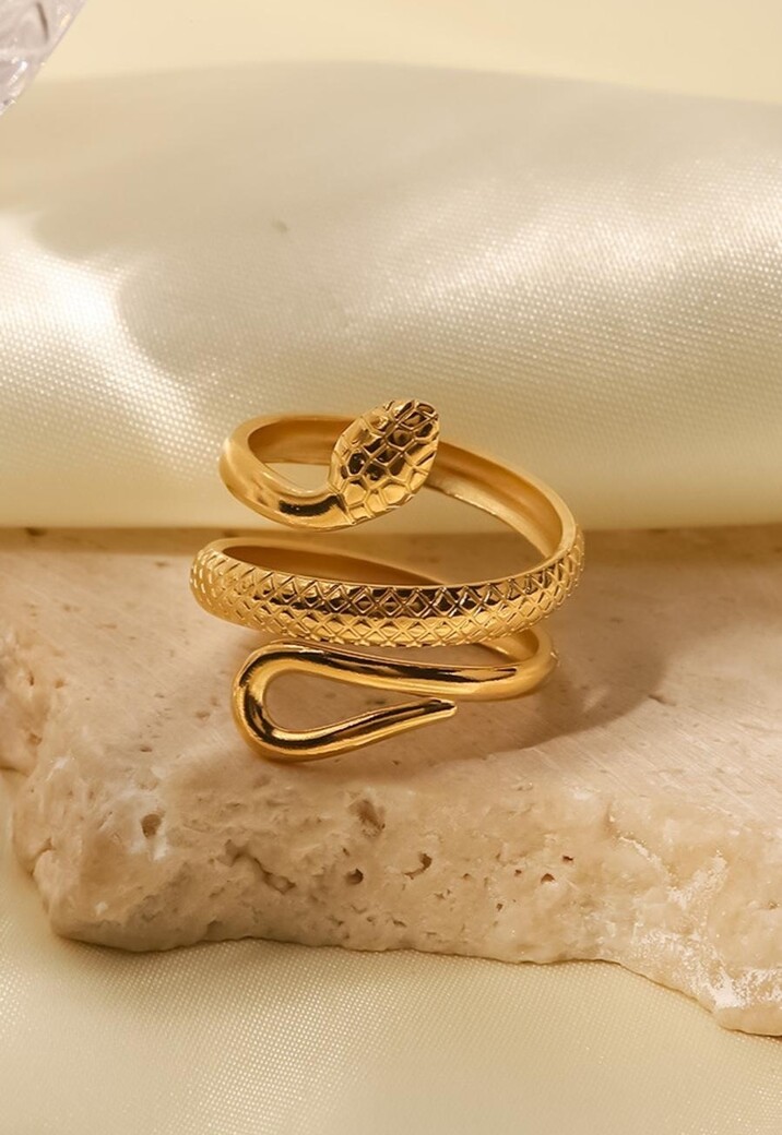 Stainless Steel Ring met Slangen Model