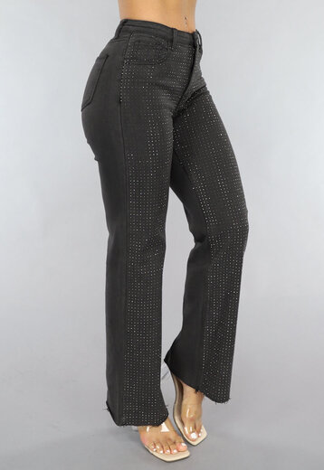 Redial Jeans  Antraciet Straight Leg Jeans met Strass Steentjes