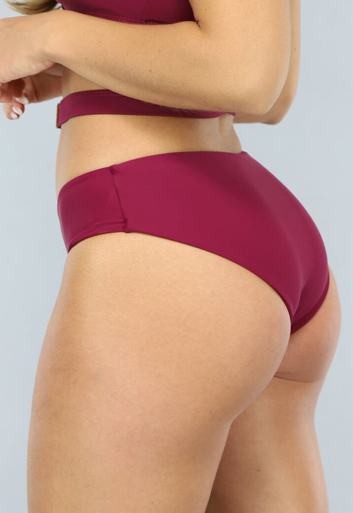 Wijnrode High Waist Bikini Slip