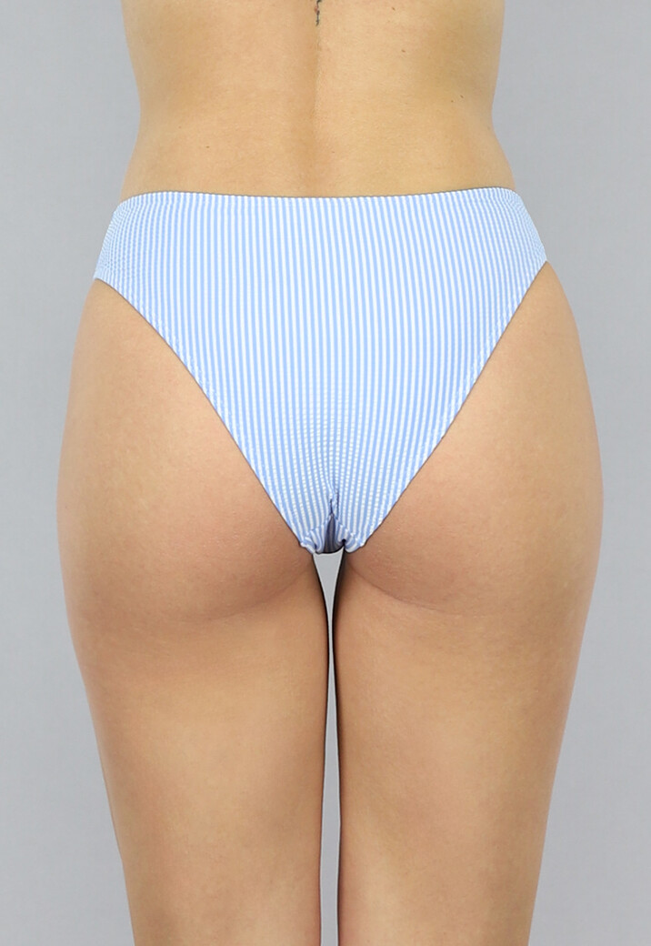 Blauw Gestreept Bikini Broekje