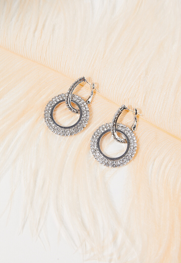 Zilveren Ronde Stainless Strass Oorbellen