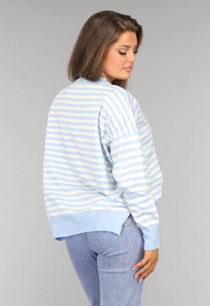 Gestreepte Trui in Baby Blauw