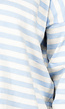 Gestreepte Trui in Baby Blauw