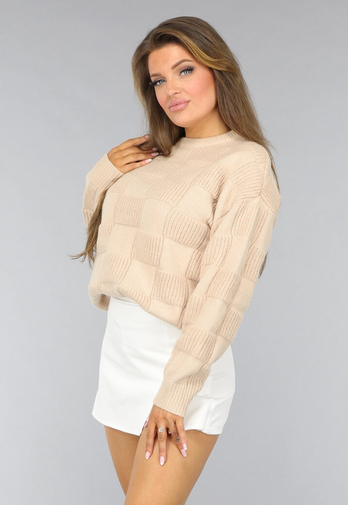 Beige Geblokte Trui