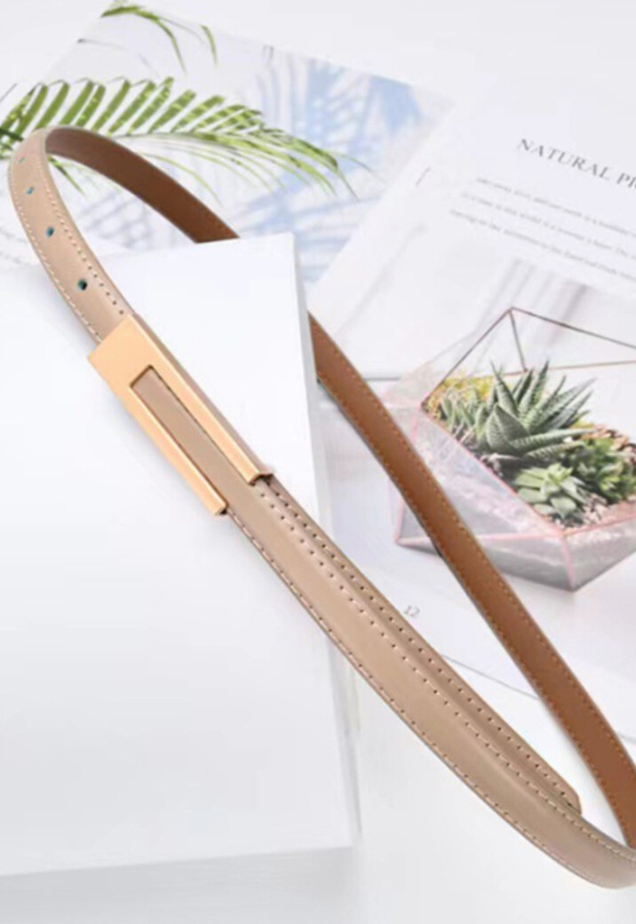 Beige Riem met Gouden Detail