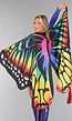 Multicolor Vlinder Kostuum Accessoires