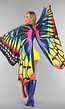 Rainbow Butterfly