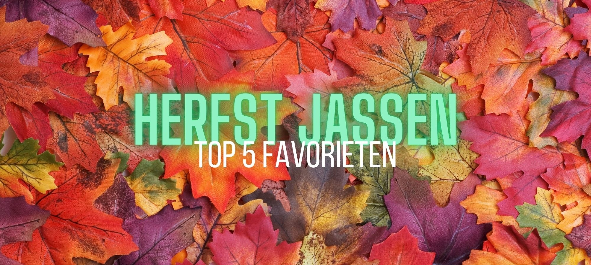 Top 5 favoriete herfst jassen