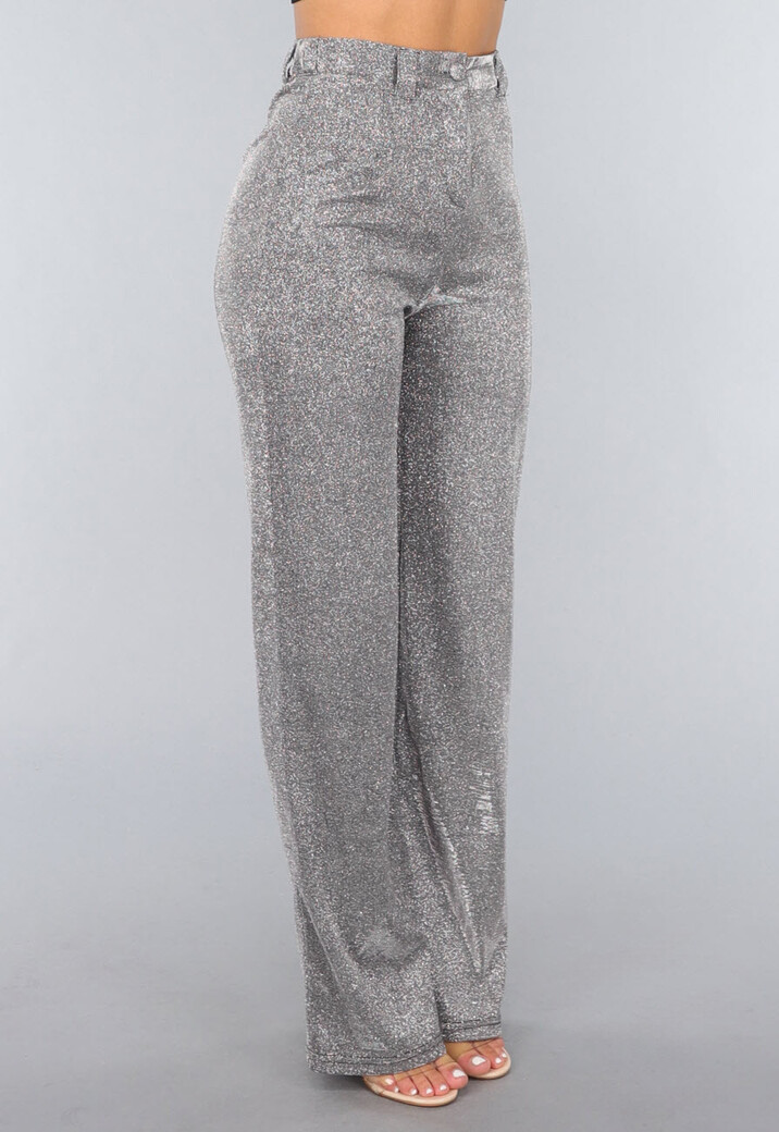 Glamour Pantalon in Zilver