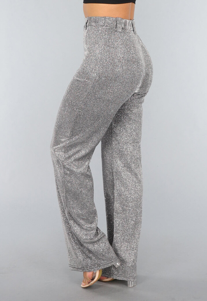Glamour Pantalon in Zilver