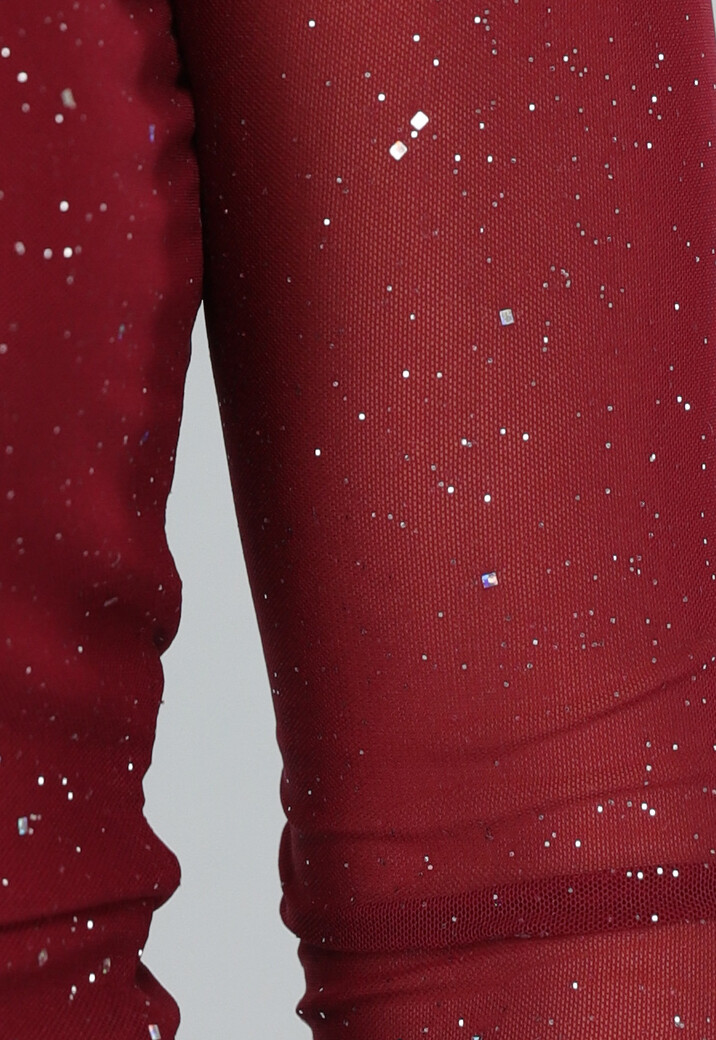 Burgundy One Shoulder Glitter Top