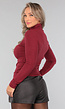 Burgundy Truitje met High Neck