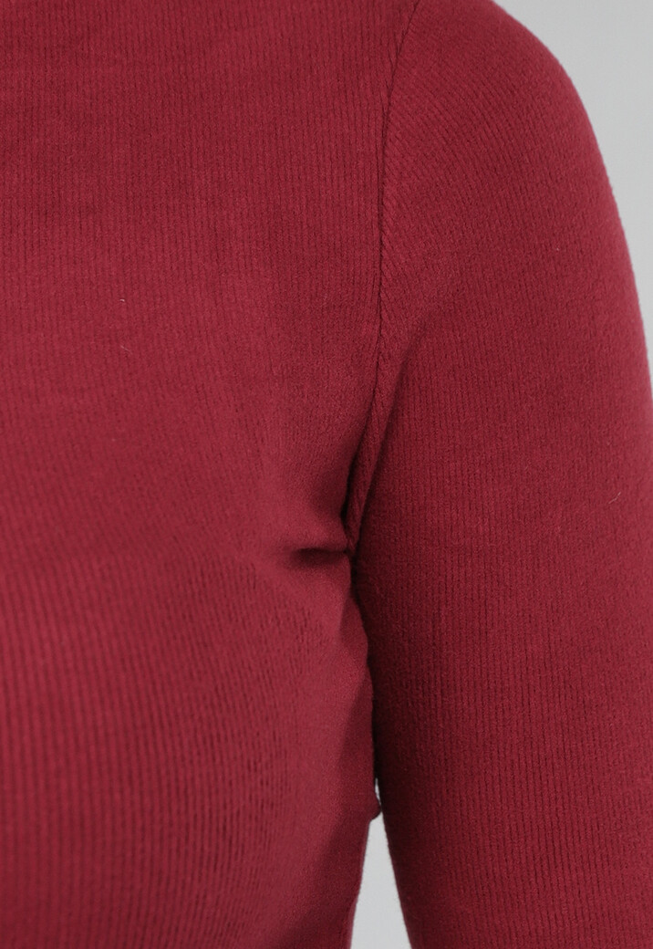 Burgundy Truitje met High Neck
