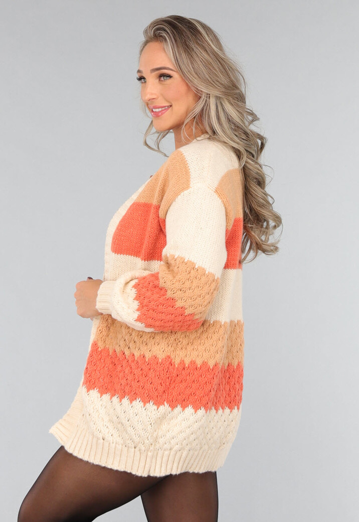 Gebreide Multicolor Cardigan