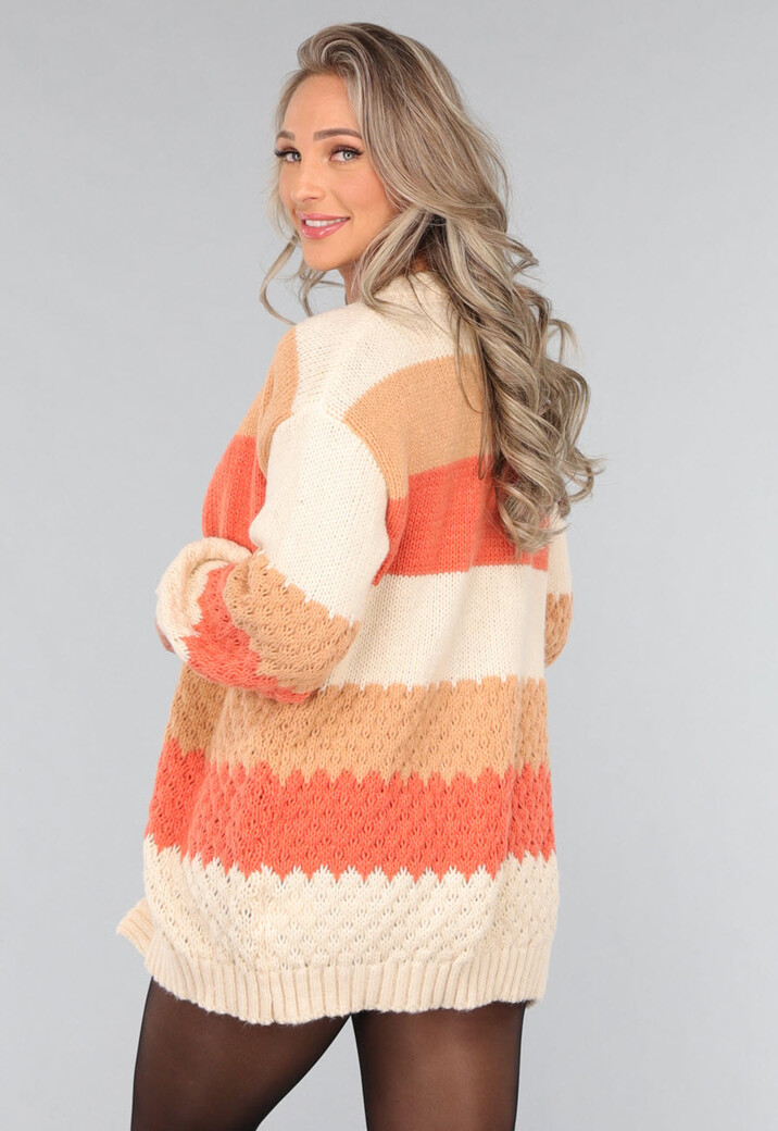 Gebreide Multicolor Cardigan