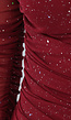Bordeaux Rode Glitter Bodycon Jurk van Mesh