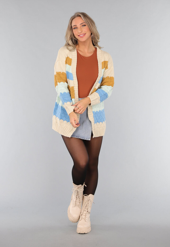 Gebreid Multicolor Cardigan Vest