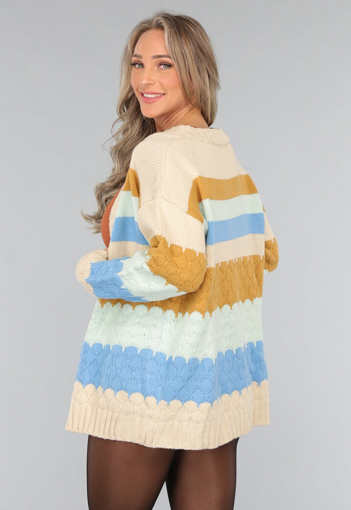 Gebreid Multicolor Cardigan Vest