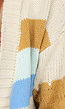 Gebreid Multicolor Cardigan Vest