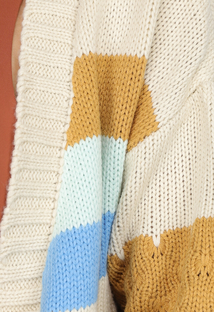 Gebreid Multicolor Cardigan Vest