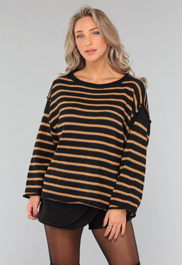 Zwarte Trui met Bruine Strepen