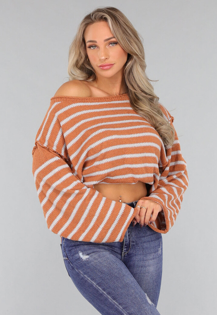 Gestreepte Camel Trui