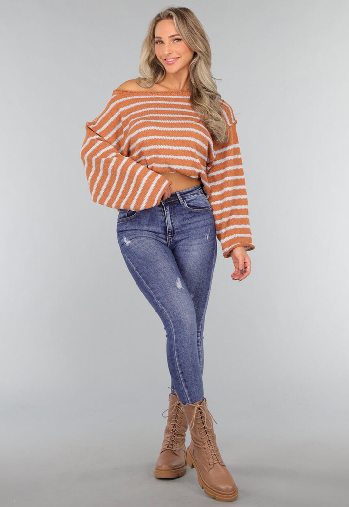 Gestreepte Camel Trui