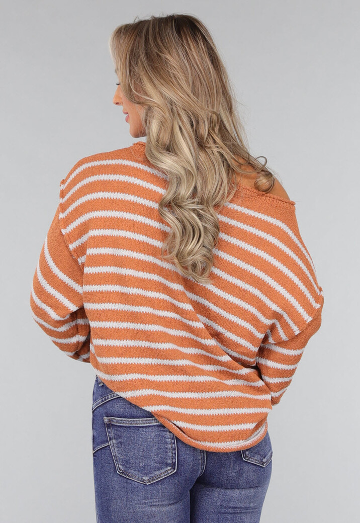 Gestreepte Camel Trui