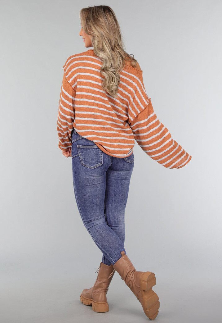 Gestreepte Camel Trui