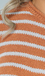 Gestreepte Camel Trui