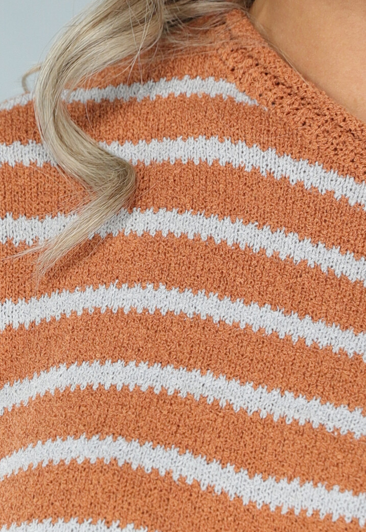 Gestreepte Camel Trui