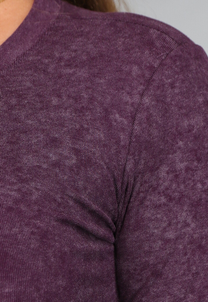 Paarse Longsleeve Top met Gebleekte Look
