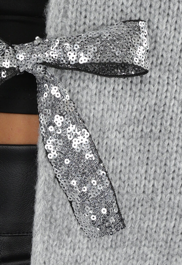 Grijze Trui met Pailletten Strikken