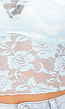 Lichtblauwe Kanten Langsleeve Crop Top met Mooie Rozenprint