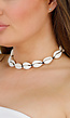 Kauri Schelpen Ketting