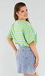 Groen en Blauw Gestreepte Oversized Top met Ronde Hals