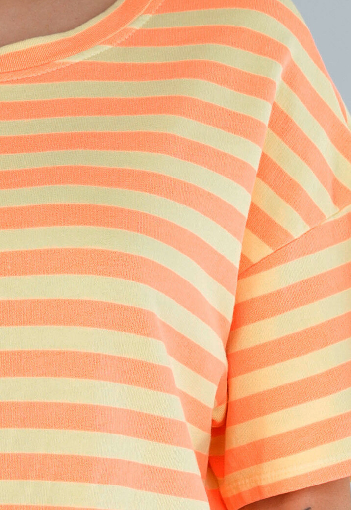 Gestreept T-shirt in Butter Yellow met Ronde Hals en Korte Mouwen