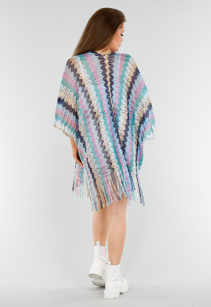 Pastel Zigzag Cover-Up met Franjes en Open Gehaakt Motief