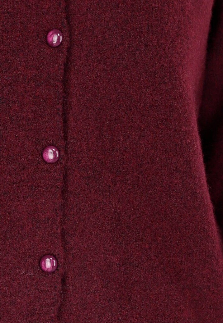 Bordeauxrood Gebreid Vest met Lange Mouwen en Knopen
