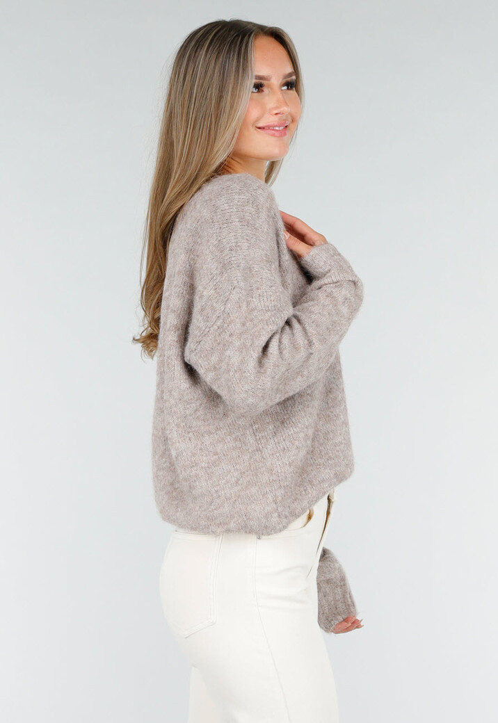 Beige Melange Trui met V-Hals en Zachte Pluizige Structuur