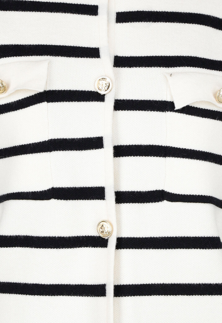 Wit Zwart Gestreept Vest met Gouden Knopen en Pockets