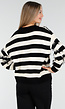 Gestreepte Trui met V-Hals en Rafel Details