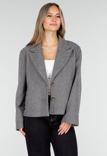 Korte Grijze Jas met Knopen