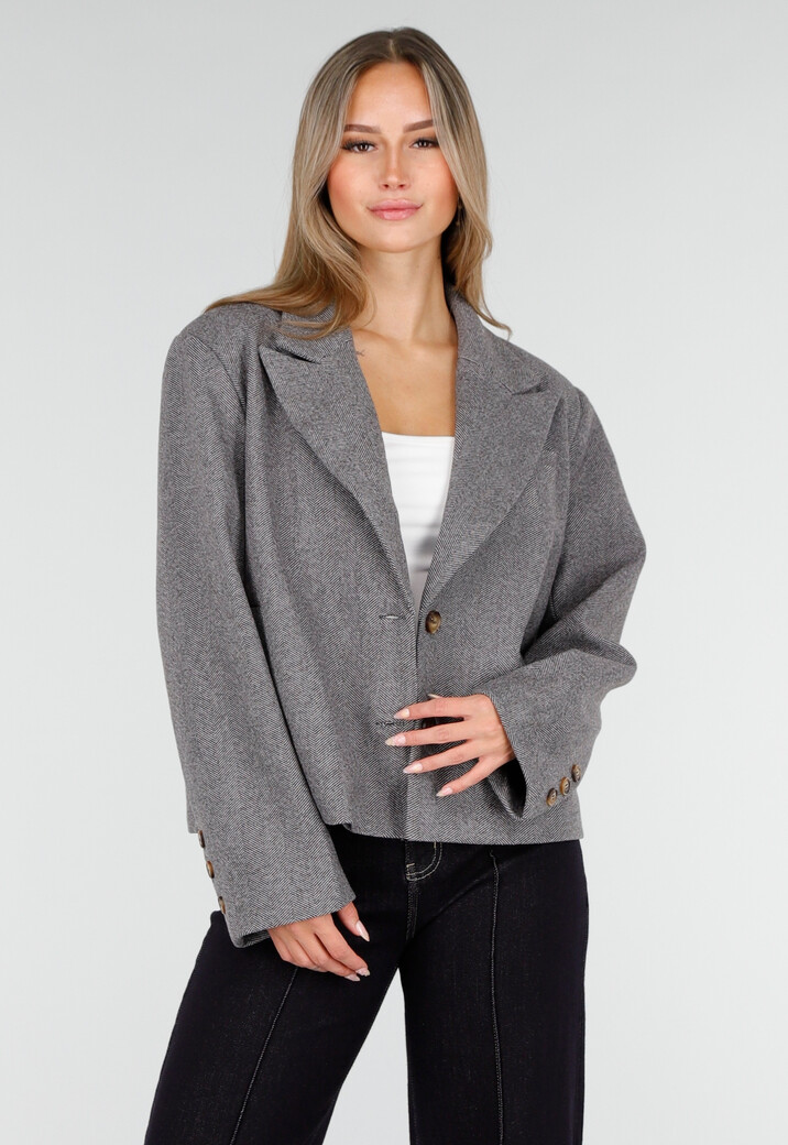 Grijze Korte Jas met Ceintuur en Revers