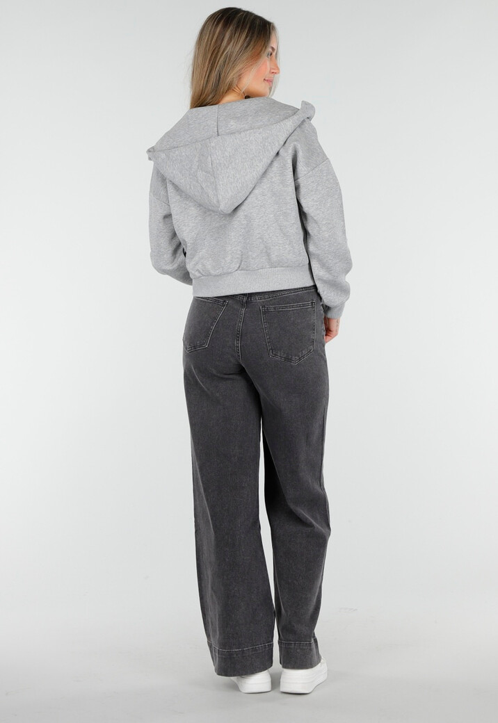 Sweatvest met Lange Mouwen in Grijs